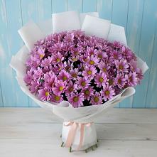 Букет цветов из:  Хризантемы в Краснодаре