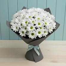 Букет белые хризантемы в Краснодаре Букет цветов из:  Хризантемы в Краснодаре