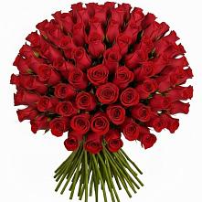 Букет Красные розы Чери Лав #REPLACE_PRED# Краснодаре