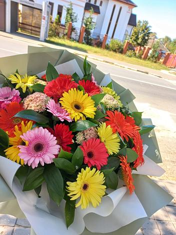 Букет цветов из: Герберы в Краснодаре